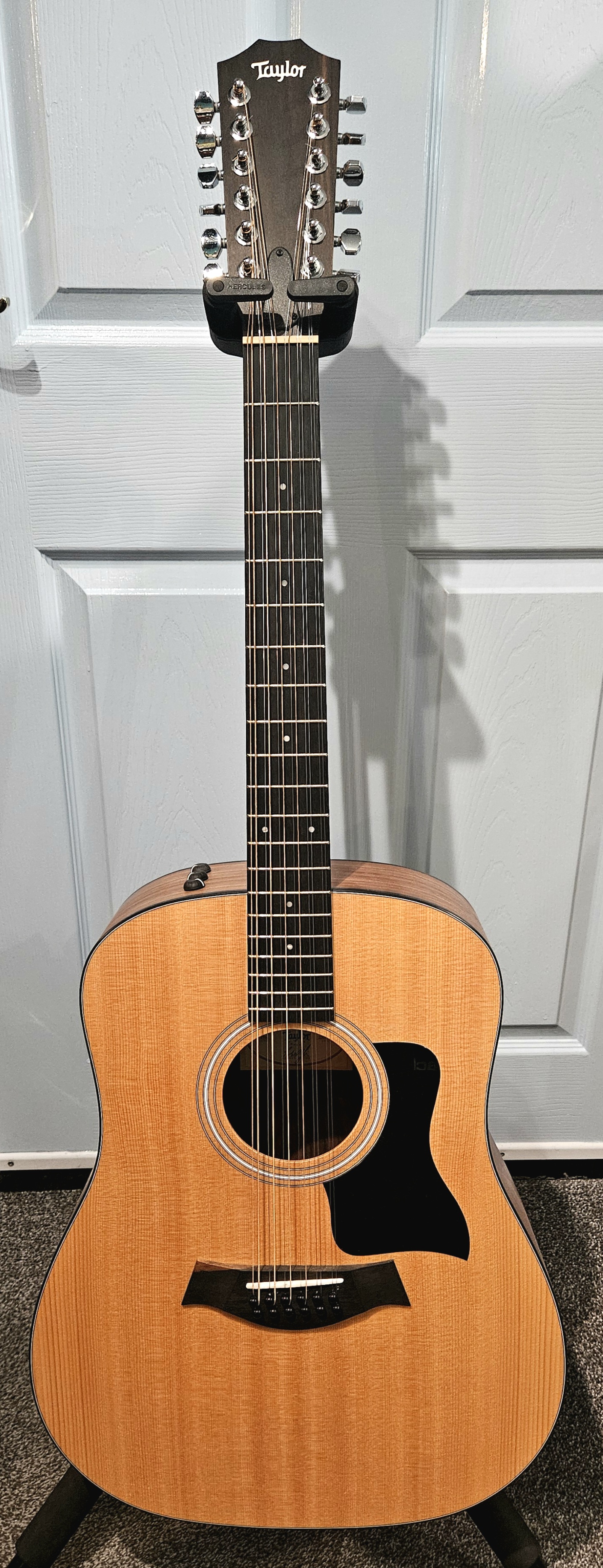 Taylor 150E